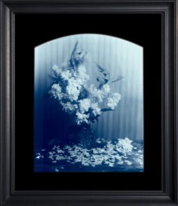 Framed blue-tinted floral still life photograph.