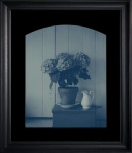 Framed photo of flowers and pitcher.