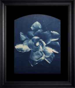 Framed monochrome flower artwork in black frame.