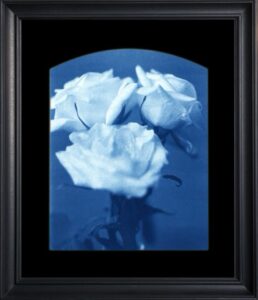 Blue-tinted roses in a black frame.